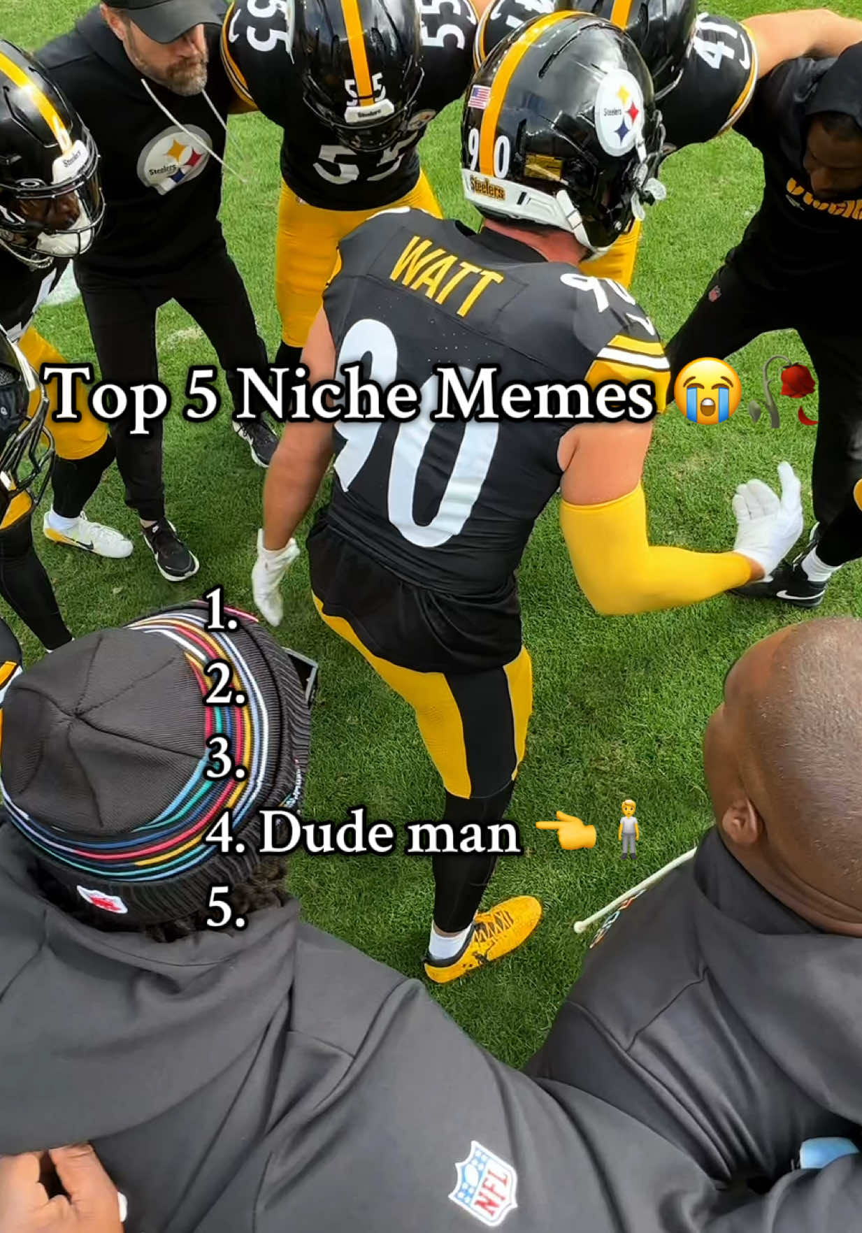 Is chicken stars the most niche meme of October 🤔 #steelers #niche #nichememes 
