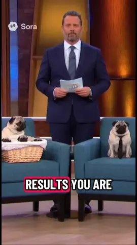 The hesitation got me dead😂😂 #pug #ai 