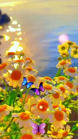 #buenastardes  #bendicionesparatodos  #feliztardeamigostiktokeros🥰🥰  #videoviral  #tiktok  #teresita  #loscaminantes  #sigueme  #seguidores  #martes  #parati  #ahoratu 