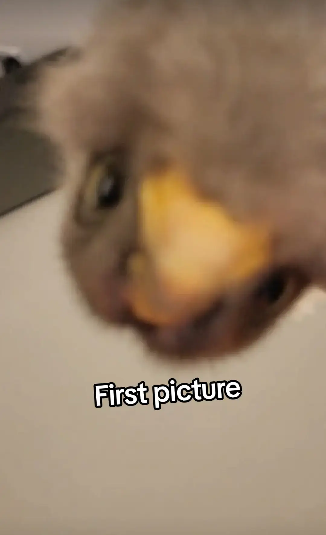 She waited for me before she passed