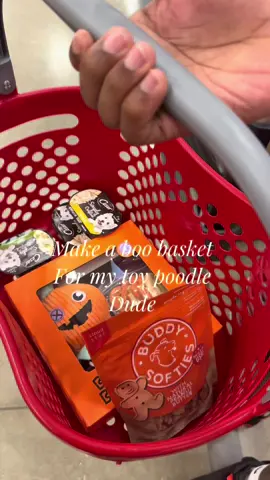 This is your sign to get your dog a boo basket for Halloween 🎃👻 #puppyboobasket #dogboobasket #boobasketfordogs #spookyseason #halloween 