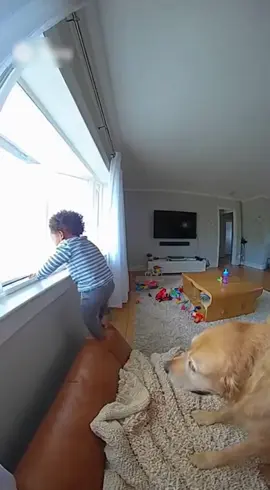 I am very happy that the dog was there and stopped the child #pet #baby #animal #dog #lovedog 