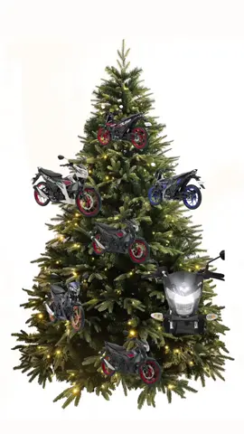 ONLYY YOUUU🫶🎀 #motorcycle #chirstmastree #riderfi150 #fyp 