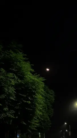 جو نہیں ہے وہ خوبصورت ہے۔