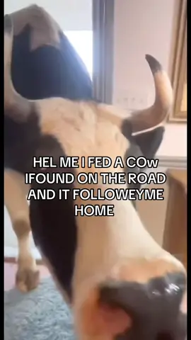 #fyp #miri #fyppppppppppppppppppppppp 