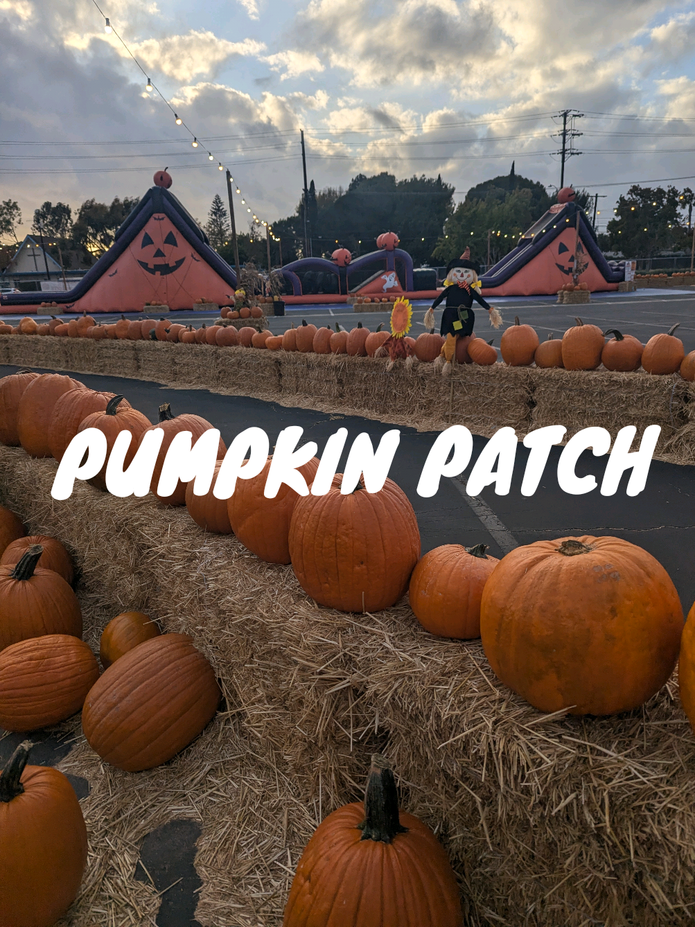 Halloween season 🧡 #pumpkinpatch #pumpkinpicking #halloweenseason #halloweenactivities 