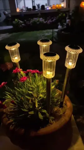 Refletores solares que transformam qualquer jardim em cenário de filme!#jardim #decoração #luminariasdecorativas #lampadaled 