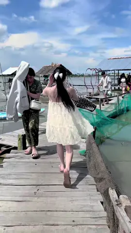 Có thể là đăng 77/49 ngày chưa hết video😂#xuhuongtiktok #dongsenthapmuoi #đongsengothap #mientayquetoi #dongthap 