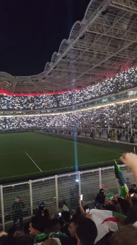 #الجزائر🇩🇿  #فلسطين 