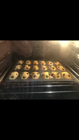 #ami #campagne #@شيف. بشرى  دبي @Jawadlepatissier @ⵥⵣzakariaⵣⵥ @SO❤️ha 