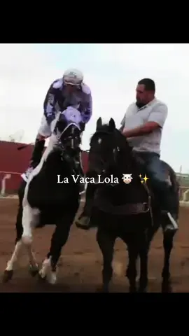 La vaca lola 🐄🫶🏻 #fypシ #caballos #carrerasdecaballos #parati #cow @Cuadra Falomir official @Manuel Benavides @🔥😈ABRAHAM😈🔥 