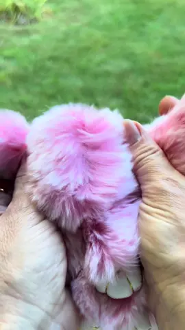 #keychain #bunnies #bunnylulu #fluffy 
