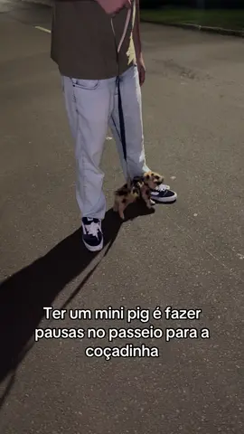 detalhe: ele só aguenta andar uma quadra  #minipig #porquinho 