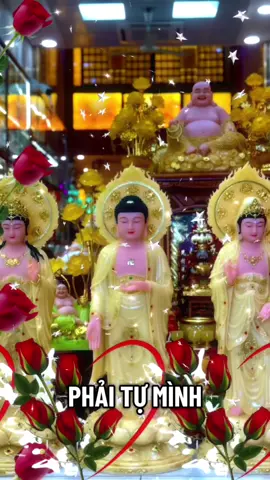 NAM Mô A Di Đà PHẬT 🙏🙏🙏🪷🪷🪷🙏🙏🙏🪷🪷🪷