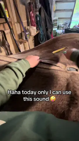 Hair removing tool is so satisfying 🥰#14thofoctober #horsegirl #horsemomma #equestrian 