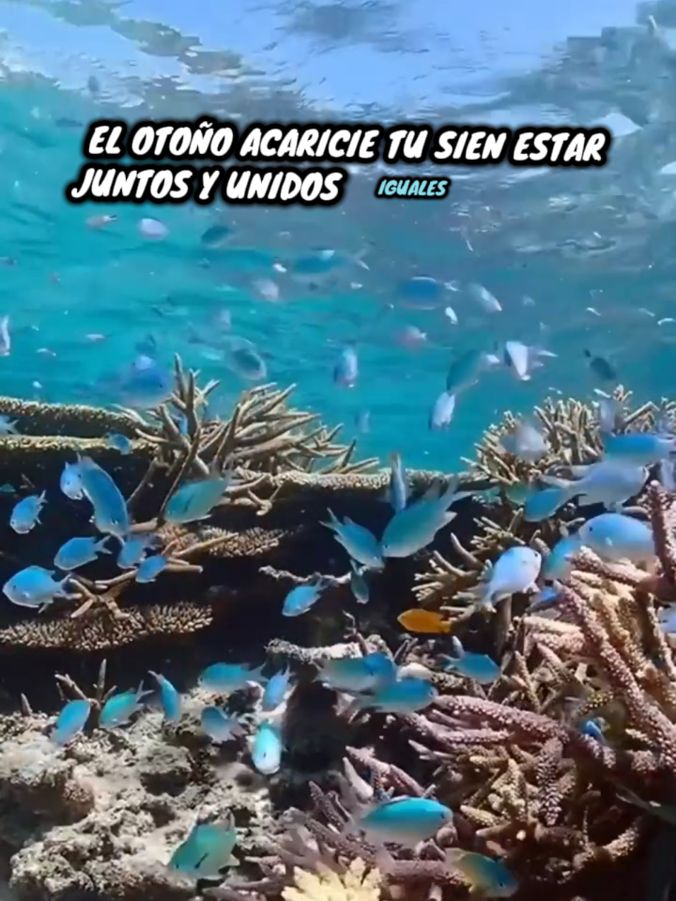 quiero #pararecordar