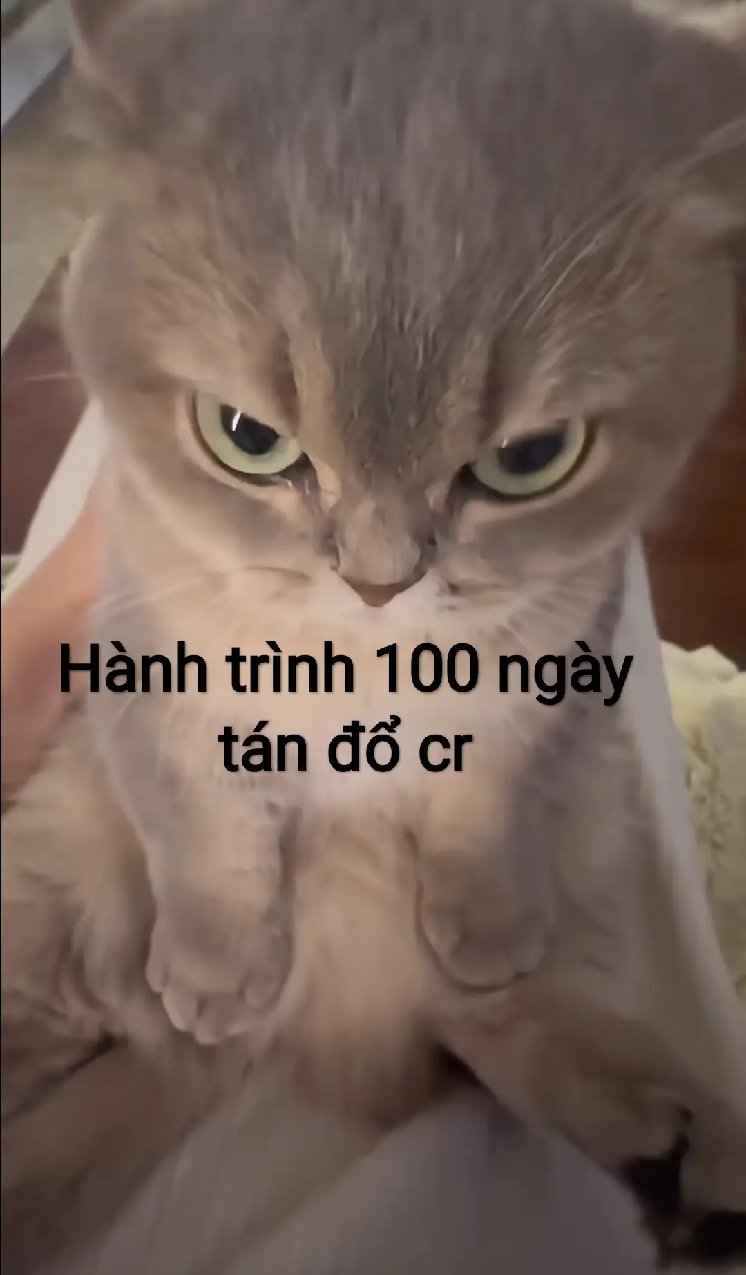 Embe ngủ sớm vậy à 😴 #tangai #fyp #xh #trending #xhtiktok 