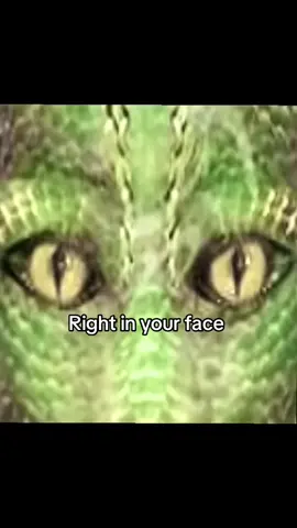 🦎#truth 