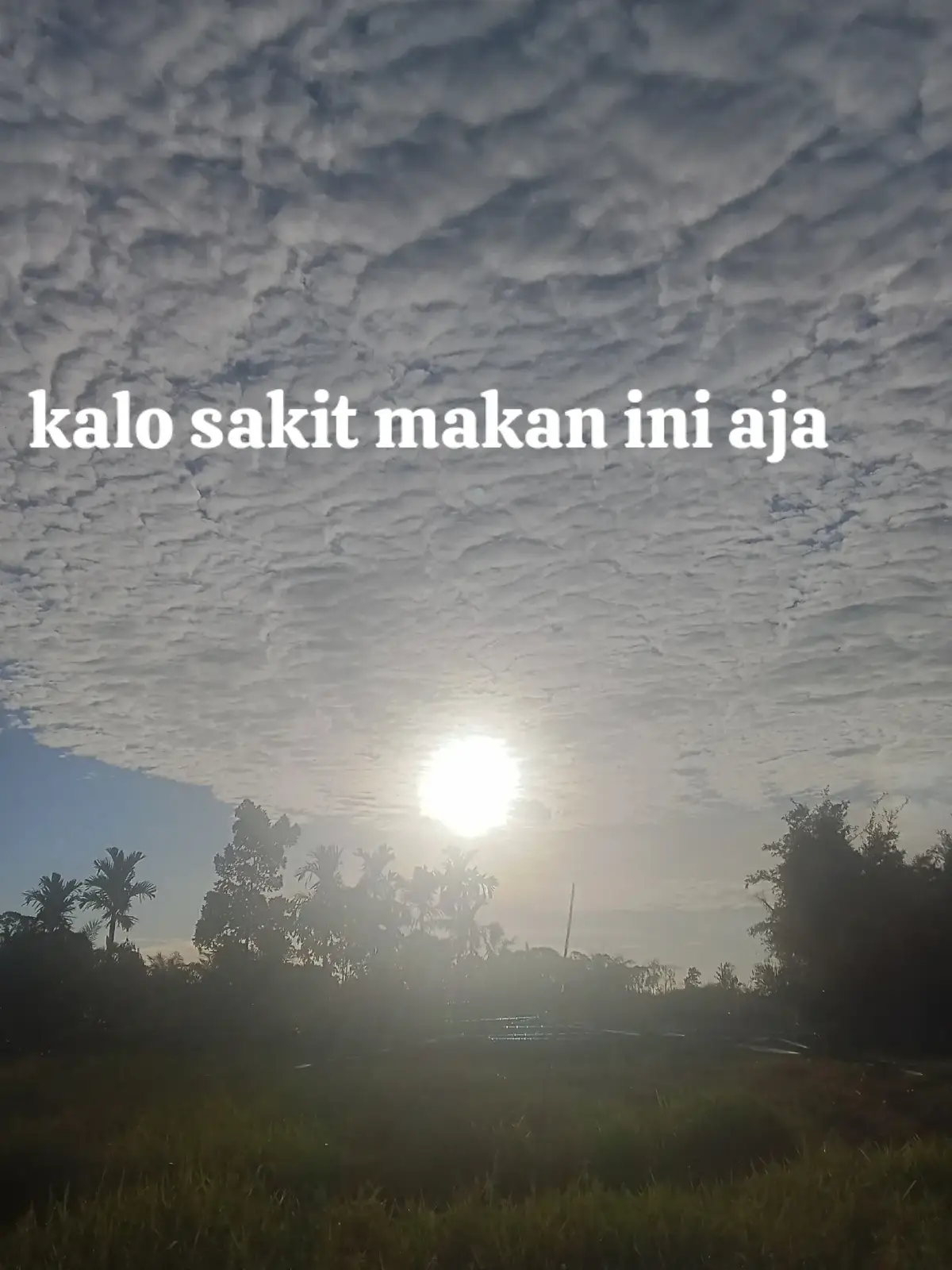 makanan bikin, sehat