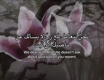 #muslimah #quran #قران 