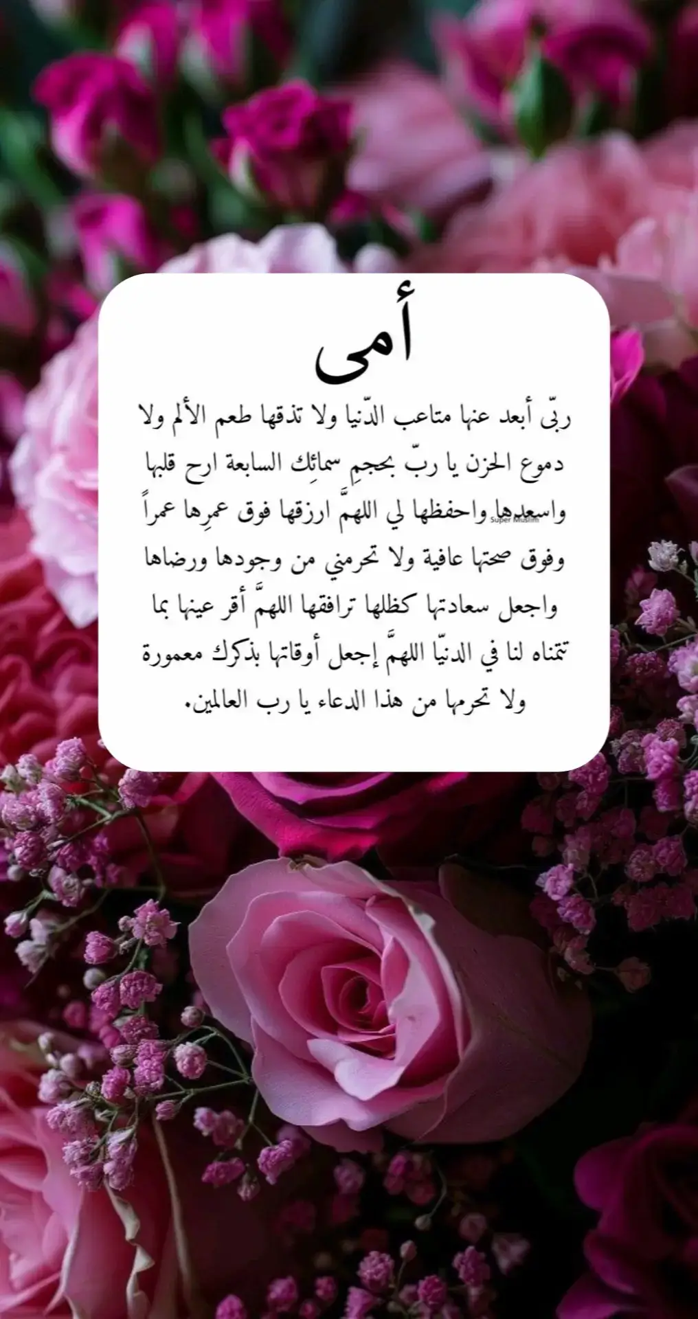 #اللهم_احفظ_امي_بحفظك 