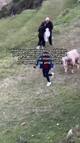 ¿Hablamos por WhatsApp o escapamos de una llama juntos? 🌴🔥¡Reserva ahora y vive la aventura! ✈️ #Peru #Aventuras #peruturismo #viajes 