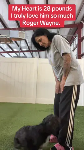 My world #rogerwayne #fypage #dogsoftiktok #dogsofttiktok #fyppppppppppppppppppppppp 