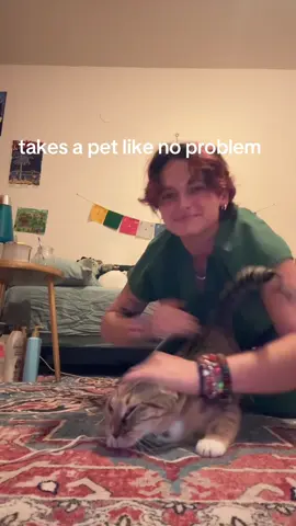 she gets frustrated if i’m not petting her rough enough💔💔 #fyp #foryou #cat #catsoftiktok 