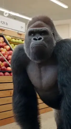 Beat’em to it 🤷‍♂️#bananaheist #soraai #sora2  #gorilla 