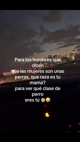 Hay mujeres malas al igual que hombres que no valen la pena osea los princesos 🤣🙊 #humor #humortiktok #perras #princesos #funnyvideos 