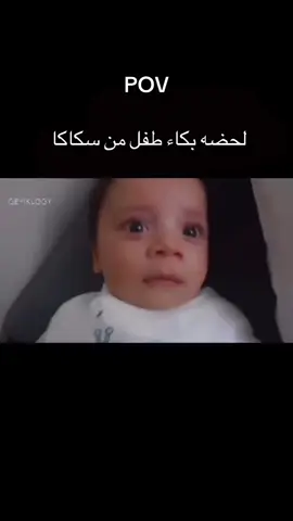 #سكاكا #الجوف #الروله #fyp #الانتشارالسريع 
