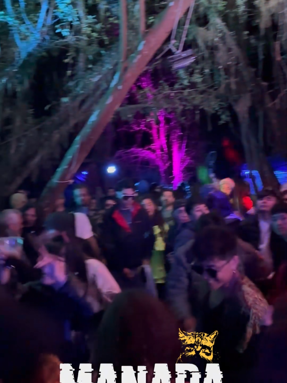 ¡Manada 2024 fue una locura total!⚡ Transformamos la isla en pura energía, ritmo y comunidad. El bosque vibró, las almas bailaron y la historia se escribió entre sonido, unión y cultura. Si estuviste ahí, sabes de qué estamos hablando; si no, no te puedes perder la segunda edición en diciembre de este año… Nos vemos ❤️ #rave #techno #musica #chiloe #chile 