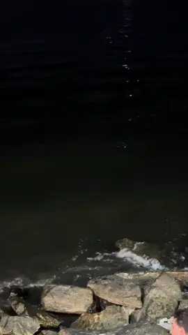 🙂‍↕️❣️#fyppppppppppppppppppppppp #موسيقى #اغاني #explore 