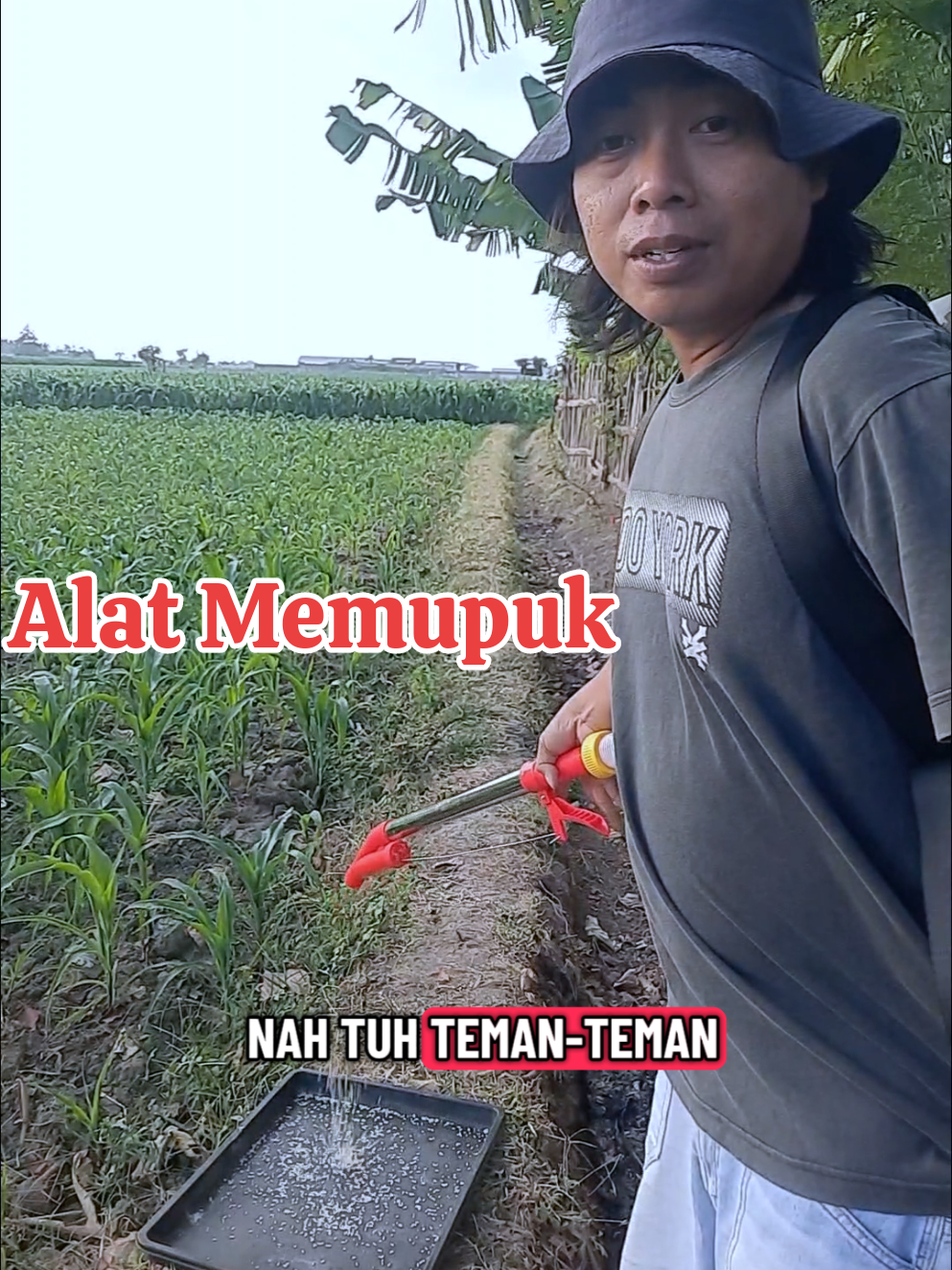 alat memupuk jagung, model terbaru. #alatmemupuk #alattaburpupuk #alatpupuk #alatpupukjagung #alatkocor