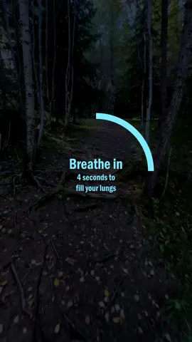 4-7-8 is said to be the most optimal breathing technique to get drowsy and fall asleep. Which is why I make these songs in 101,05 bpm. The breathing sound in the music perfectly aligns with this pattern. This way you can use the music without looking at the screen when you go to sleep. I will put link to a longer playlist in the comments 💙 #calm #sleep #ambientdronemusic #relaxingmusic #478breathing 