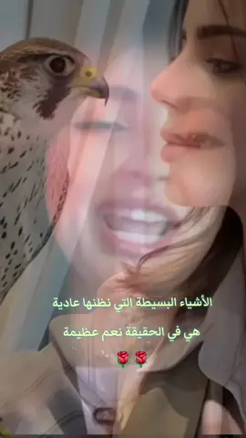 حثالة القهوة مهما تعالت مع الفوح مصيرها تركد وترجع حثالة عشان كذا .. ترا عادي تبقون طيبين لأخر لحظة  ما فيه جوائز على سواد الوجه والله #مشاعر 