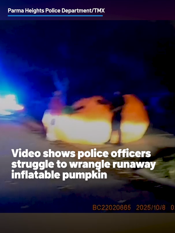 In Parma Heights, Ohio, police responded to unusual calls about a giant inflatable pumpkin rolling loose through town. Bodycam footage shows officers struggling to wrangle the wind-blown gourd. After a comical chase, they managed to detain the festive fugitive, attempting to deflate it before ultimately stuffing it into the back of a squad car. The pumpkin was safely returned to its display, where it now rests ready to delight passersby for the rest of the fall season. #pumpkin #ohio #halloween