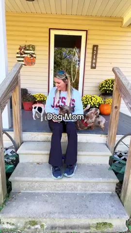 Rosie wasn’t wanting to share her mom! #dogmom #yorkiesoftiktok #puppylove #doglove #fyp 