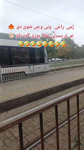 #پشتون_تاجیک_هزاره_ازبک_زنده_باد🇦🇫  #video #viral #furyou #بلجیم🇧🇪🤣 