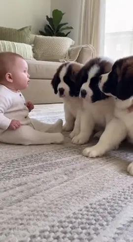 #dog #cutebaby #funnytoddler 