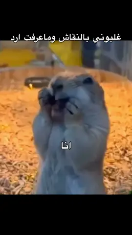 #fyp #explor #اكسبلور #الشعب_الصيني_ماله_حل😂😂 #ضحك 