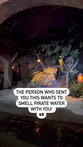 Like if you also love that pirate water smell 🏴‍☠️ #piratesofthecaribbean #disneyland #disney #fyp #disneyparks  