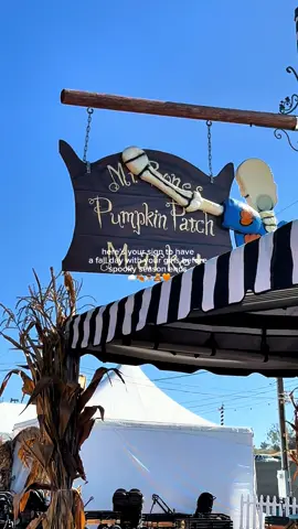 the best fall day at @Mr. Bones Pumpkin Patch 🧡 #fallaesthetic #fallactivities #fallinspo #fallday 