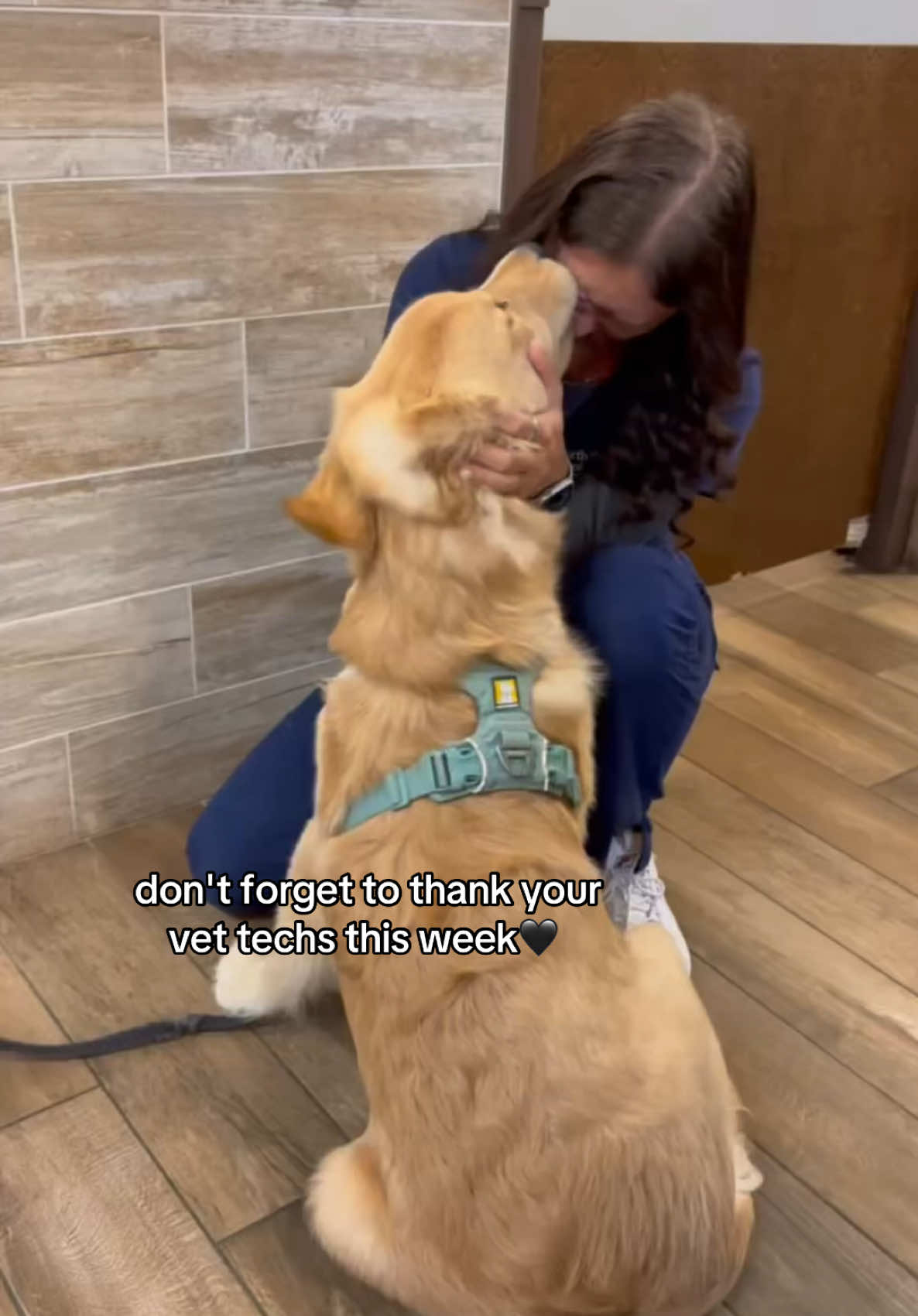 #greenscreenvideo Happy Vet Tech Week!!!🐾🖤 #fyp #fypシ #fypシ゚viral #viral #vettech #vettechlife #vettechweek #vettechappreciationweek 