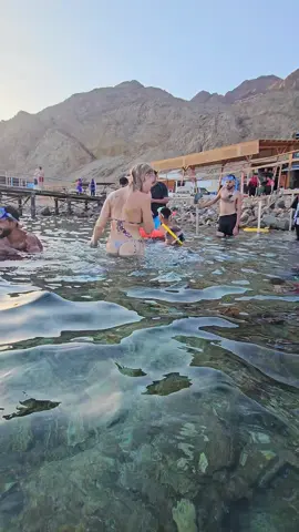 #Dahab #دهب_جنوب_سيناء_بدو_مصر #fypシ゚viral🖤tiktok☆♡🦋myvideo #البلوهول_دهب_جنوب_سيناء #fypシ゚ 