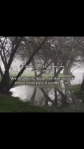 قران#قران_كريم #استغفرالله #explore 