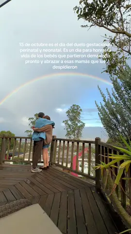 El 15 de octubre es el día internacional del duelo gestacional, perinatal y neonatal.  Si estás atravesando un duelo, quiero que sepas algo: no tienes que apresurarte a sanar. No hay tiempos correctos, ni formas perfectas. Tu manera de vivir este proceso es válida, y tu dolor merece respeto. Quizás hoy sientas que una parte de ti se apagó, pero esa luz no se perdió: está aprendiendo a brillar de una forma distinta. Con el tiempo, vas a descubrir que el amor que sentías por tu bebé no desaparece; se transforma, se expande, y empieza a tejer nuevas formas de vida a tu alrededor. A veces, ese amor se vuelve arte, palabra, propósito o servicio. Y otras veces, simplemente se vuelve presencia: la capacidad de mirar el mundo con más ternura, de abrazar a otras mujeres que caminan un camino parecido, de sostenerte con suavidad cuando los días pesan. Porque sí, la maternidad también puede renacer desde el dolor. No igual, no como antes, sino más sabia, más consciente, más humana. Así que si hoy estás en medio de la tormenta, recuerda esto: no estás sola, y no estás rota. Solo estás en transformación. Y en ese proceso, sigues siendo digna de amor, de paz, y de esperanza.