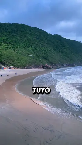 Romeo santos y Karol g (mi corazón es solo tuyo) #romeosantos #bachata #paratii #cancionesvirales #tiktoktendencia