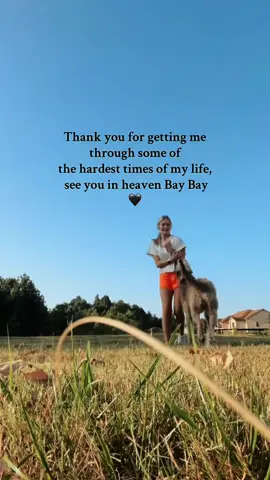 My angel😇🐾  #labradoodle #dog #fyp #trending 