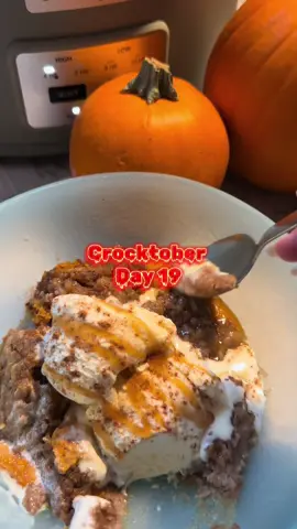 Step aside pumpkin pie, crockpot pumpkin dump cake is going to be your new fave 🎃 🥧  2 cans (or 1 big one) of pure pumpkin  1 can evaporated milk 3 eggs 1c white sugar 1/4c brown sugar Vanilla Cinnamon Pumpkin spice  Box of spice cake mix  Stick of butter cut  1c brown sugar 1c flour Cinnamon  Pumpkin spice Box Vanilla 1/3c cold butter  Chopped walnuts  Mix pumpkin, evap. Milk, 3 eggs, 1c white sugar, 1/4c brown sugar, vanilla, cinnamon, pumpkin spice, mix well. Sprinkle cake mix on top. Flatten gently until even. Do not mix. Add cut up butter  To make crumble Mix 1c brown sugar, 1c flour, vanilla, cinnamon, pumpkin spice. Mix, and cut in cold butter until a crumble.  Sprinkle on top. Add chopped walnuts. Cook on high for 2.5 hours. Serve with vanilla ice cream and kind of enjoy it  #crocktober #crockpotrecipes #slowcookerrecipe #chaoticbaking #slowcooker 